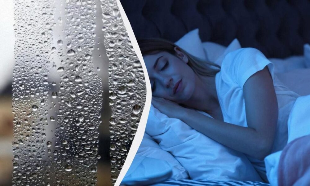 Как избавиться от конденсата в квартире: секреты, которые сохранят ваш дом сухим