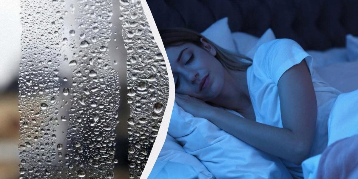 Как избавиться от конденсата в квартире: секреты, которые сохранят ваш дом сухим