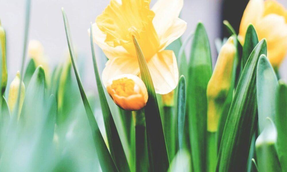 Народные приметы на 23 марта: как создать уют и избежать неприятностей