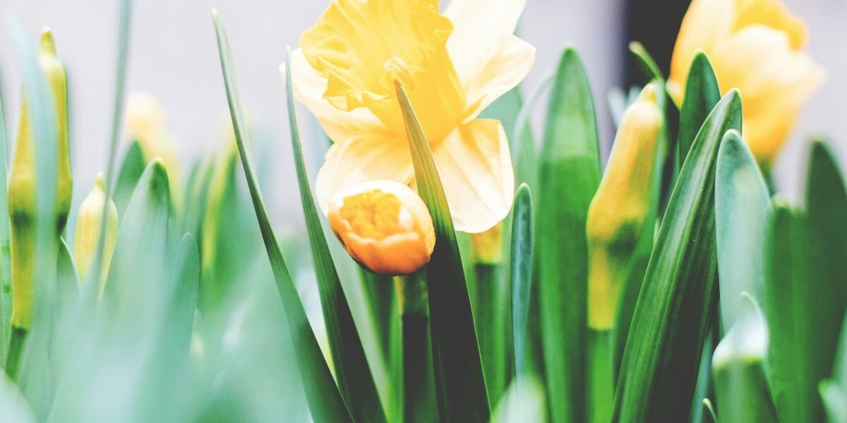 Народные приметы на 23 марта: как создать уют и избежать неприятностей