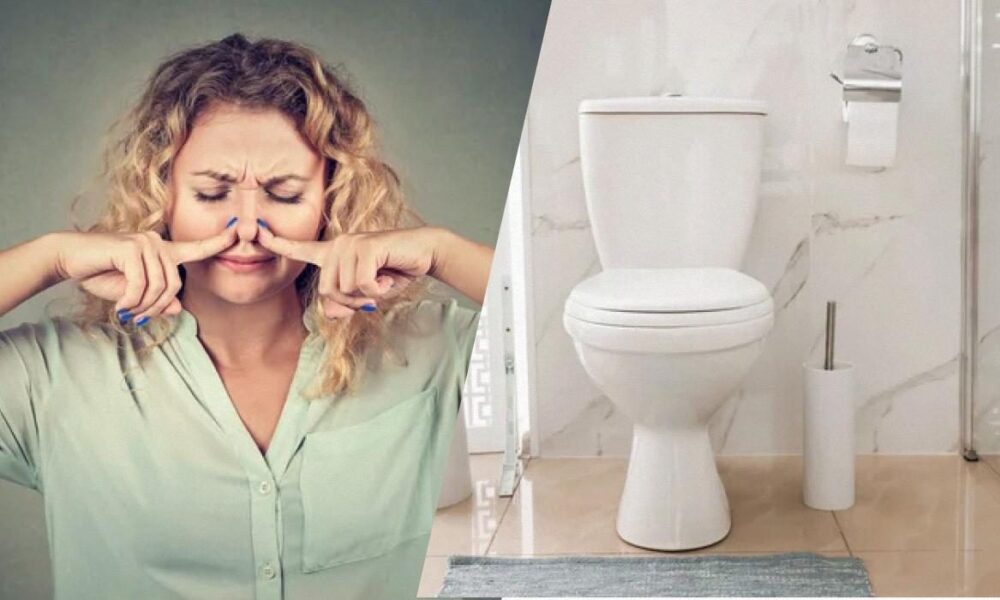 5 копеечных лайфхаков для идеальной чистоты и свежести в туалете, о которых знает только 1% хозяек