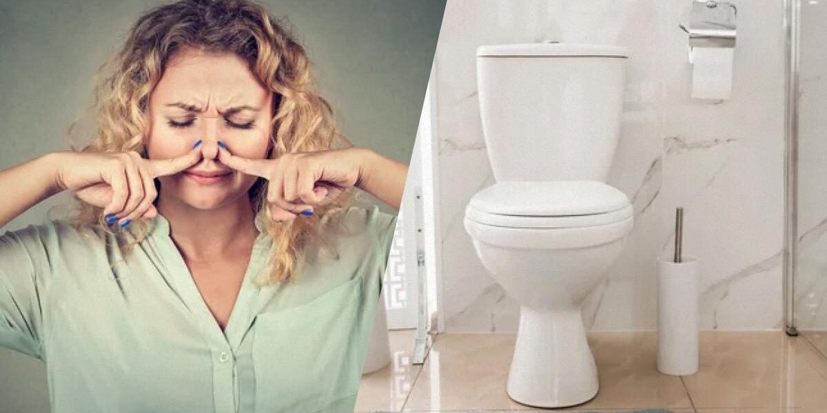 5 копеечных лайфхаков для идеальной чистоты и свежести в туалете, о которых знает только 1% хозяек