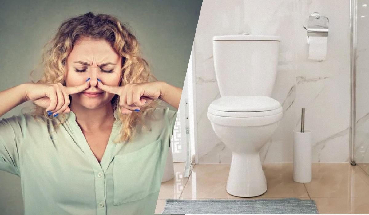 5 копеечных лайфхаков для идеальной чистоты и свежести в туалете, о которых знает только 1% хозяек