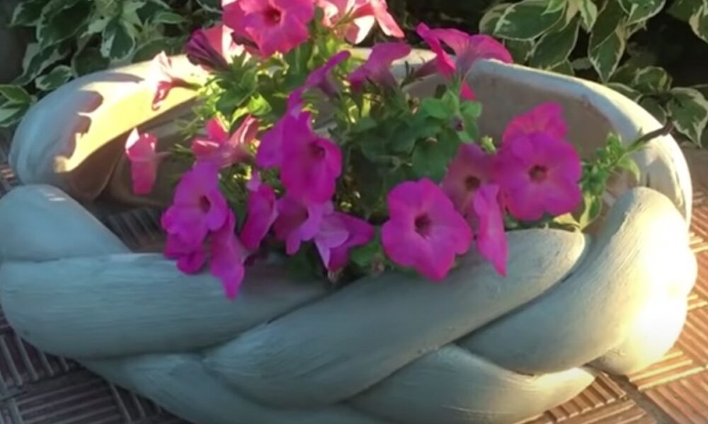 Старые колготки: секрет идеальных бордюров для вашего сада