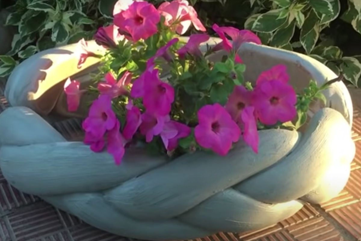 Старые колготки: секрет идеальных бордюров для вашего сада