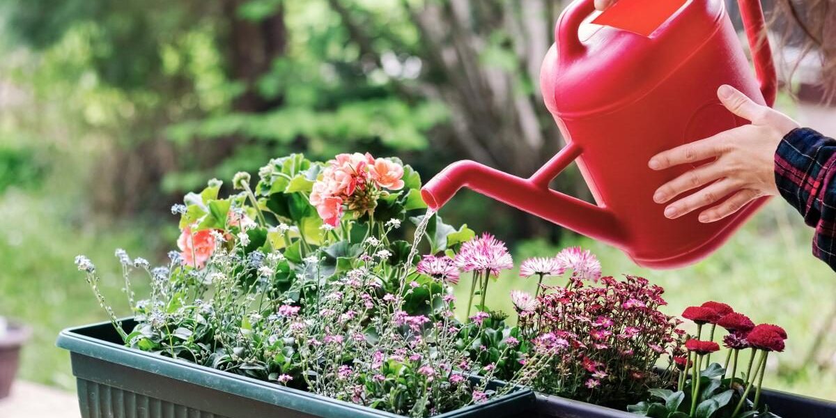 Борьба с белыми вредителями в цветах: эффективные методы для вашего сада