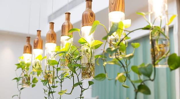 Выбираем лампу для досветки комнатных растений зимой: полное руководство