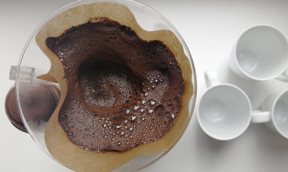 Кофейная гуща для ваших растений: 5 удивительных применений в саду и дома