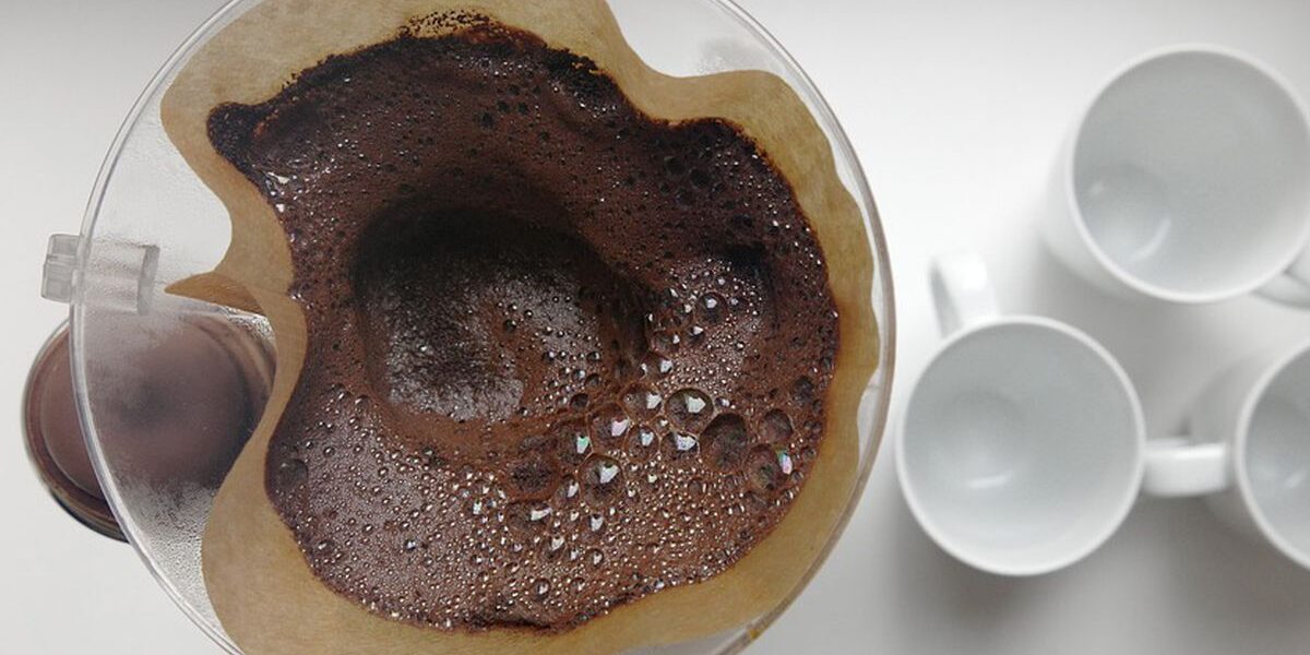 Кофейная гуща для ваших растений: 5 удивительных применений в саду и дома