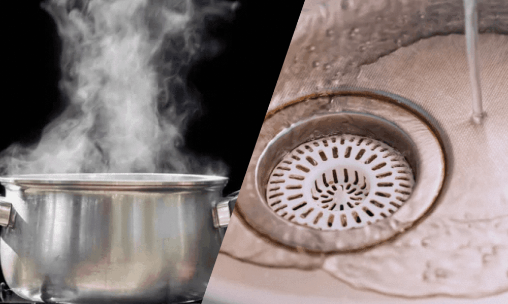 Народные средства для сада: кипяток в раковину – польза или вред?