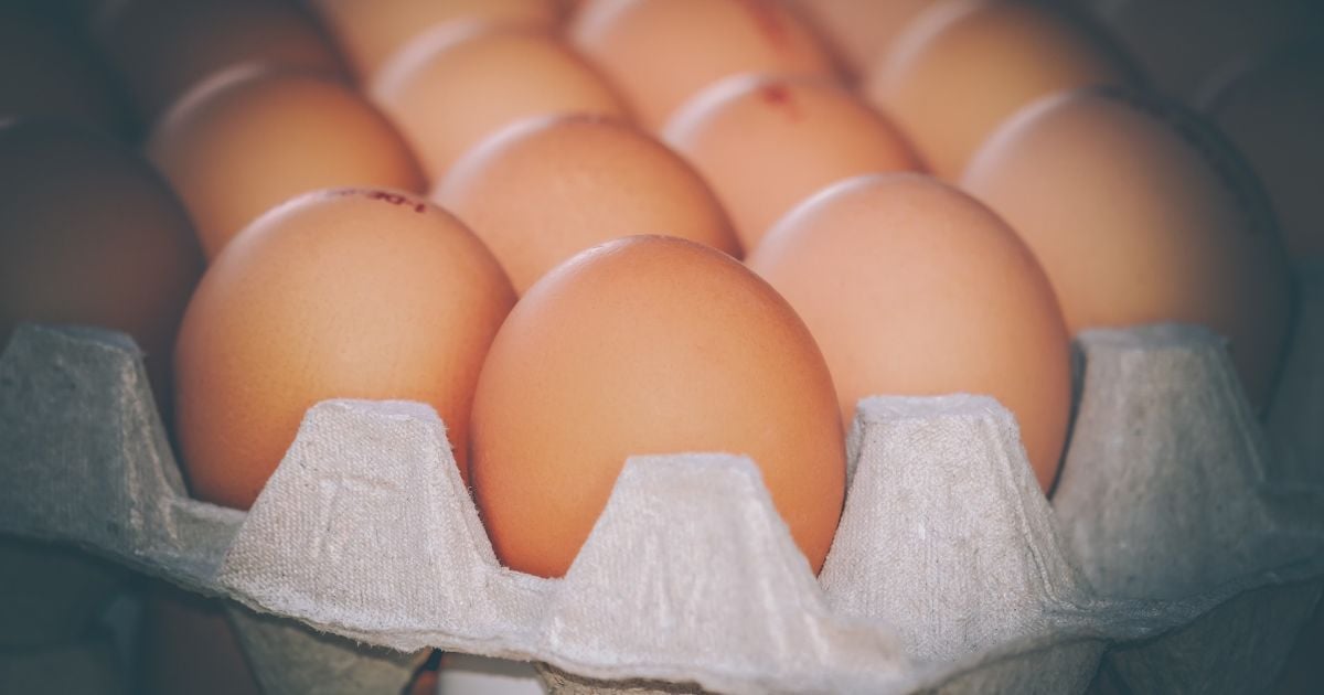 Как выбирать лучшие куриные яйца: секрет, который не зависит от размера