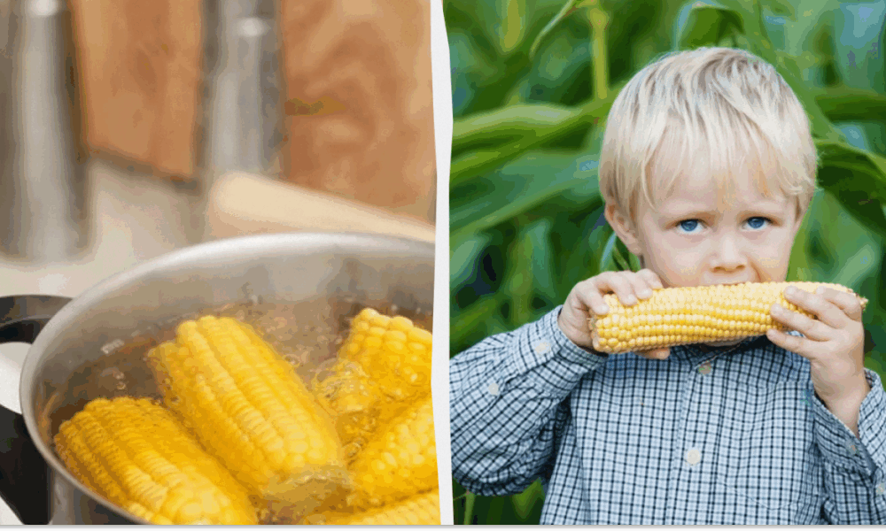 Как сварить идеальную кукурузу: секреты мягкости для каждой хозяйки