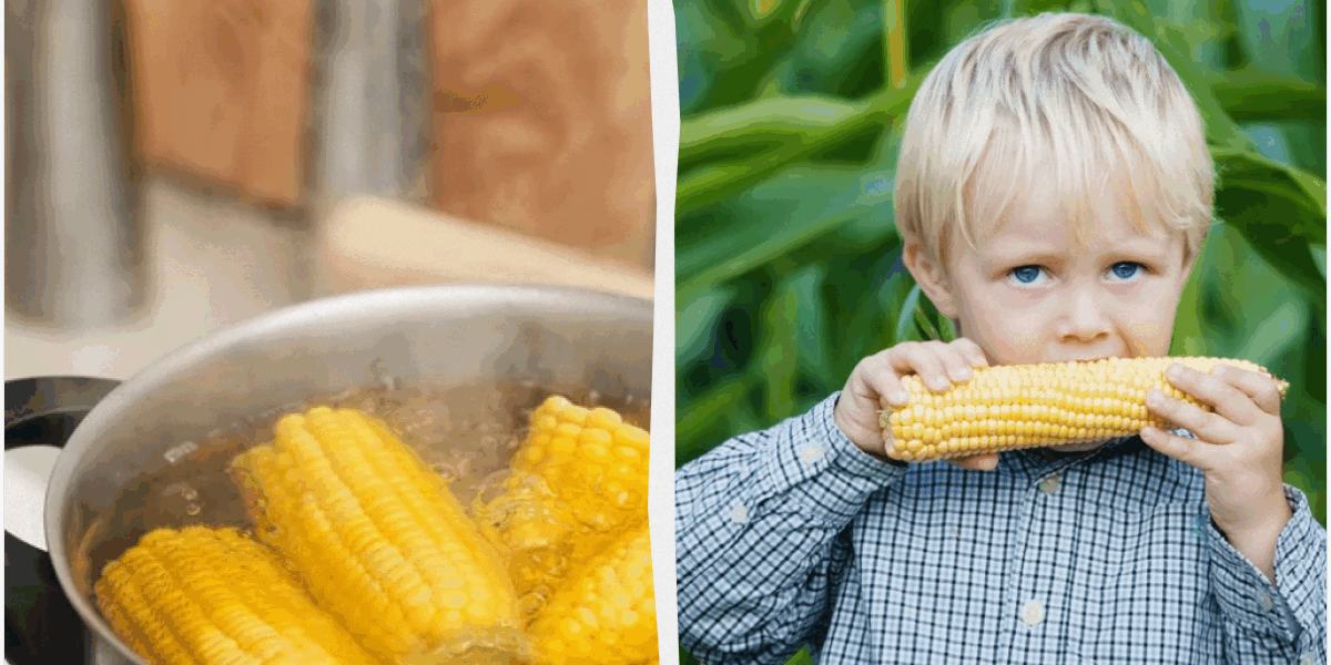 Как сварить идеальную кукурузу: секреты мягкости для каждой хозяйки