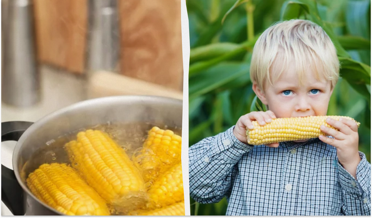 Как сварить идеальную кукурузу: секреты мягкости для каждой хозяйки