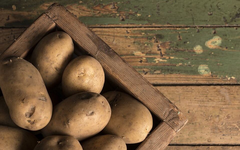 Храним картофель дома: секреты свежести и отсутствие ростков