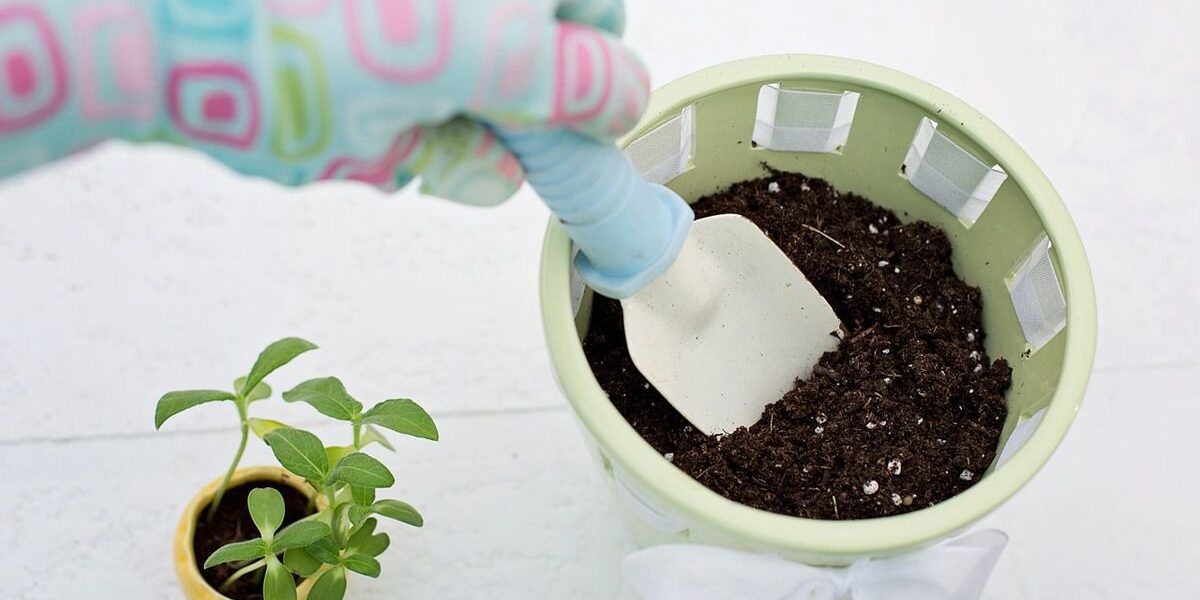 Как избавиться от плесени на цветочных горшках: проверенные методы и профилактика