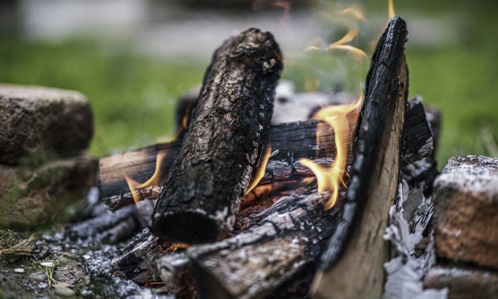 Древесная зола на даче: универсальное удобрение или вредитель для ваших растений?