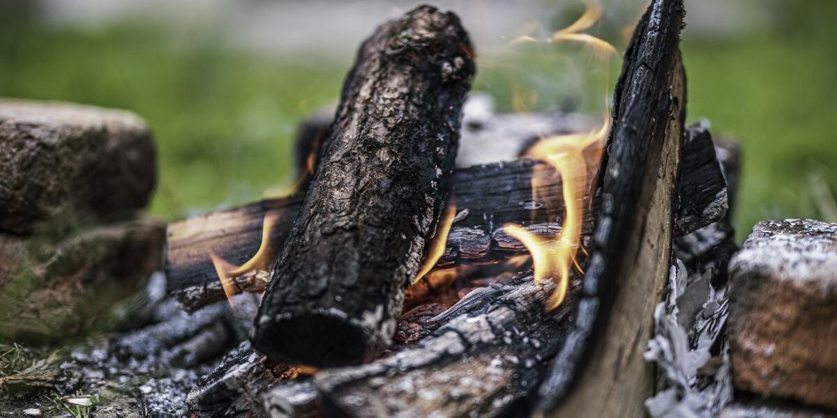 Древесная зола на даче: универсальное удобрение или вредитель для ваших растений?