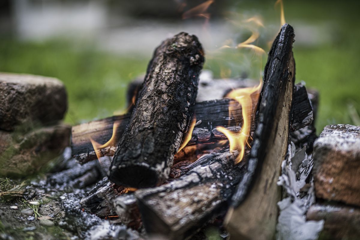 Древесная зола на даче: универсальное удобрение или вредитель для ваших растений?