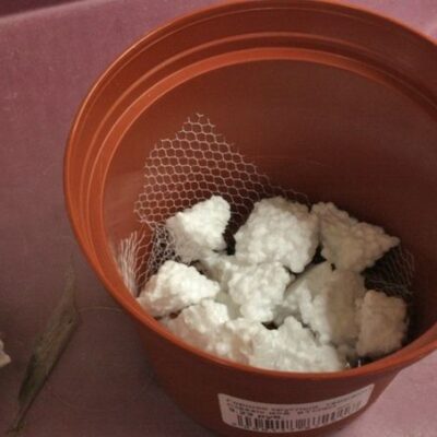 Почему пенопласт — плохой дренаж для ваших растений: 4 причины