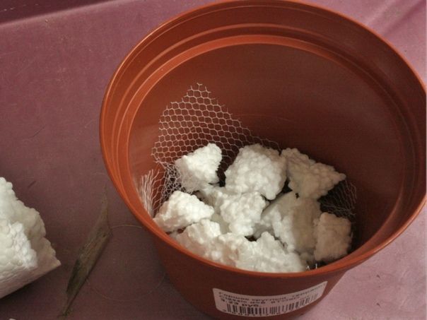 Почему пенопласт — плохой дренаж для ваших растений: 4 причины