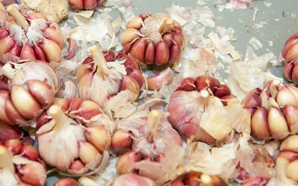 Лушпиння часнику: секрети досвідчених господинь для саду та дому