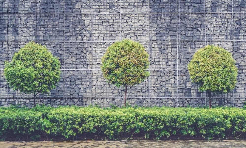 Садовые хлопоты: как защитить деревья весной от вредителей и болезней