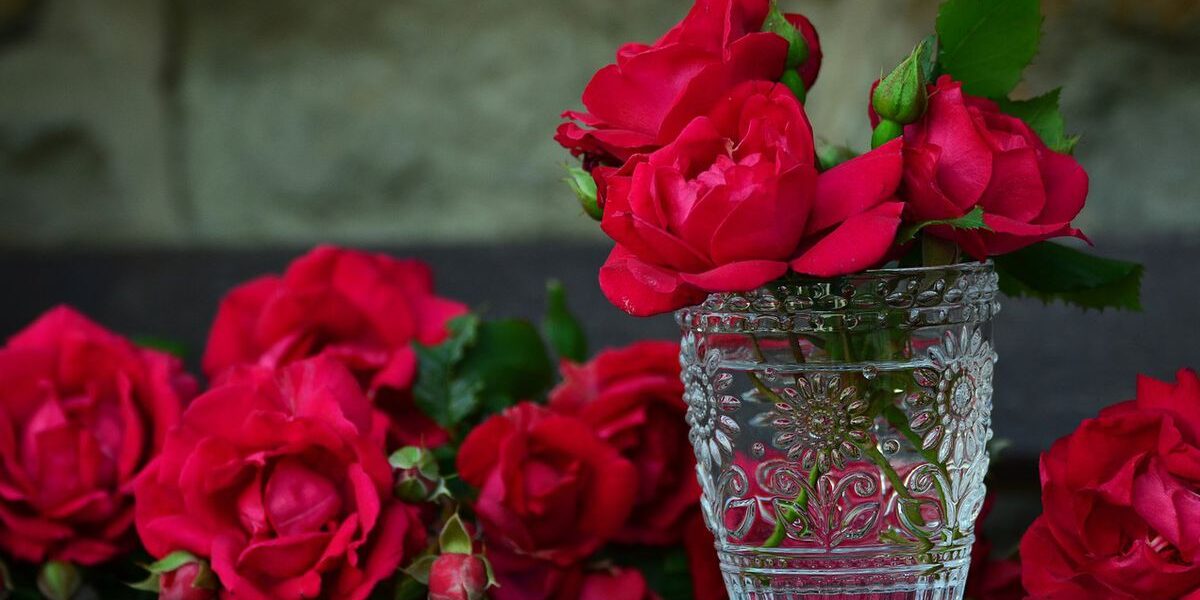 Почему нельзя держать розы дома: приметы и суеверия для женского уюта