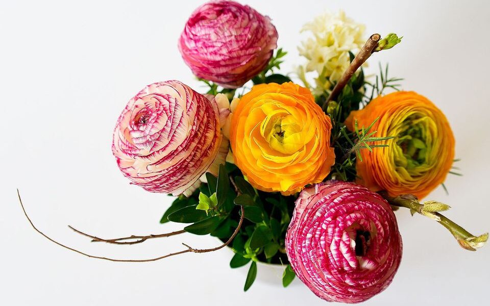 Секреты долголетия букета: лайфхаки для ваших цветов