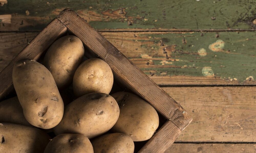 Лайфхаки хранения картофеля дома: как сохранить свежесть надолго