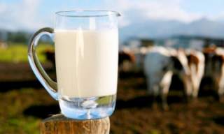 Пастеризованное молоко: польза, секреты домашнего приготовления и вкусные рецепты