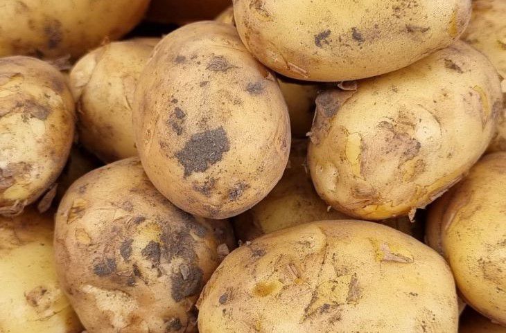 Секреты быстрой чистки картошки: лайфхаки для каждой хозяйки