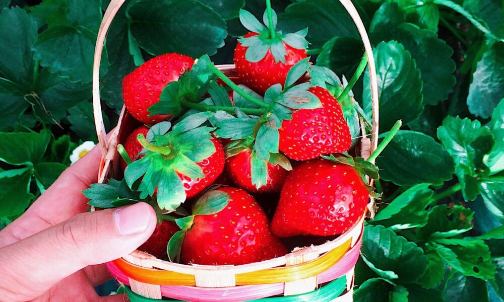 Домашний уют: секреты идеальной хозяйки