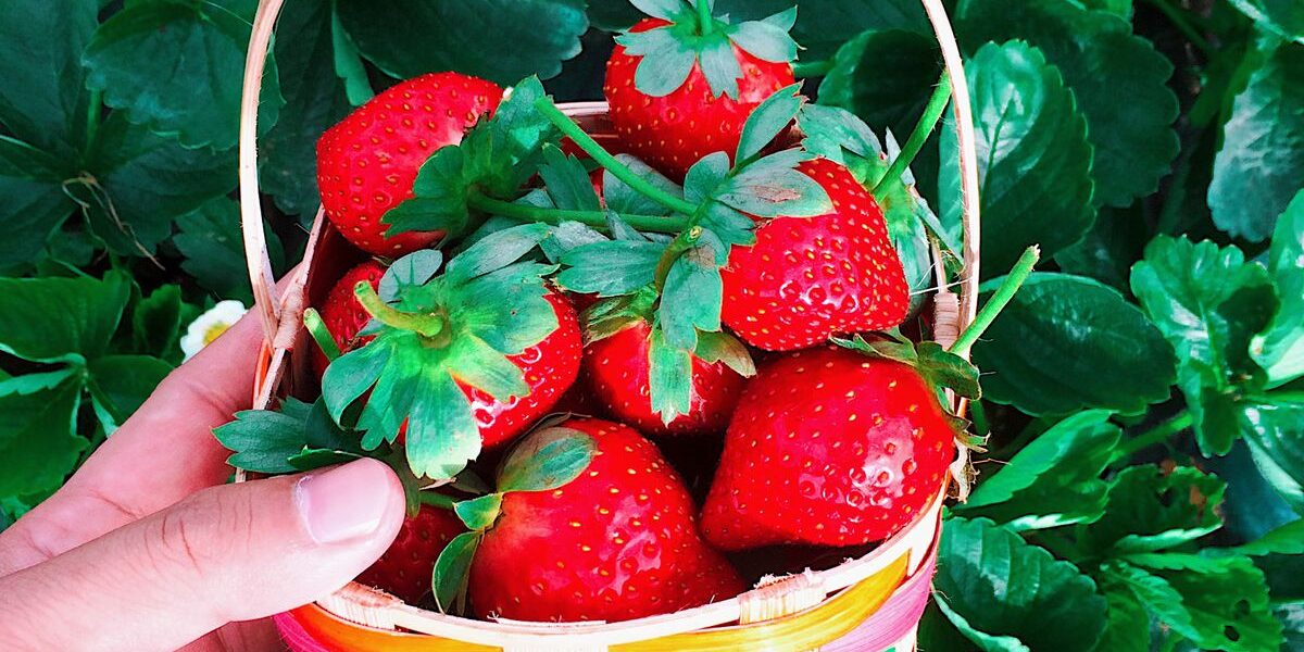 Домашний уют: секреты идеальной хозяйки