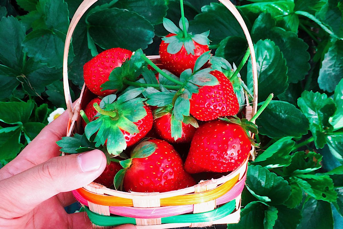 Домашний уют: секреты идеальной хозяйки