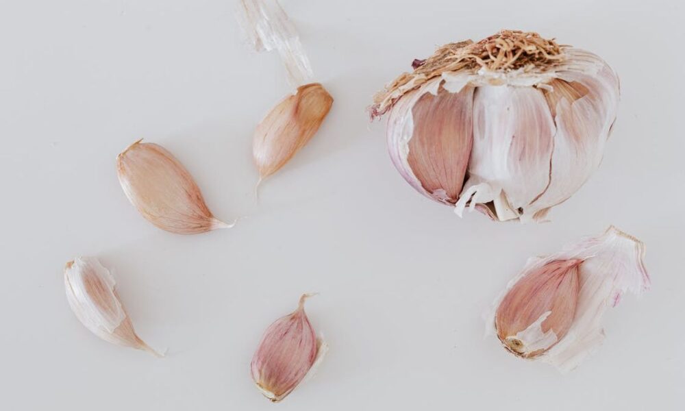 Осенняя посадка чеснока: выбираем сорт и сроки
