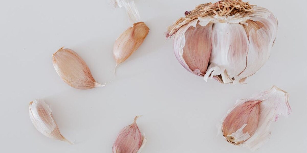 Осенняя посадка чеснока: выбираем сорт и сроки