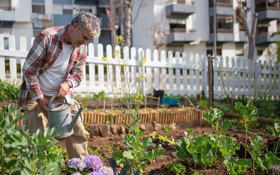 Как не испортить урожай: главные ошибки дачников при использовании дрожжей для подкормки