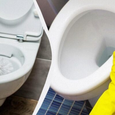 Идеально чистое сиденье унитаза: секретный ингредиент с вашей кухни