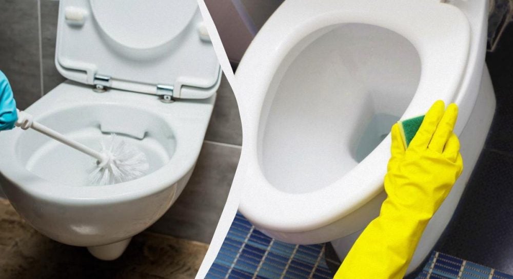Идеально чистое сиденье унитаза: секретный ингредиент с вашей кухни