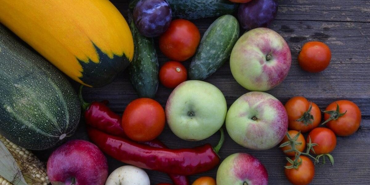 Секреты хранения продуктов: что нельзя держать рядом в холодильнике и как навести порядок