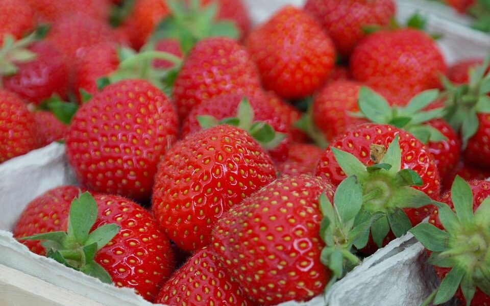 Клубничные червячки: почему они не проблема, а польза для вашего урожая