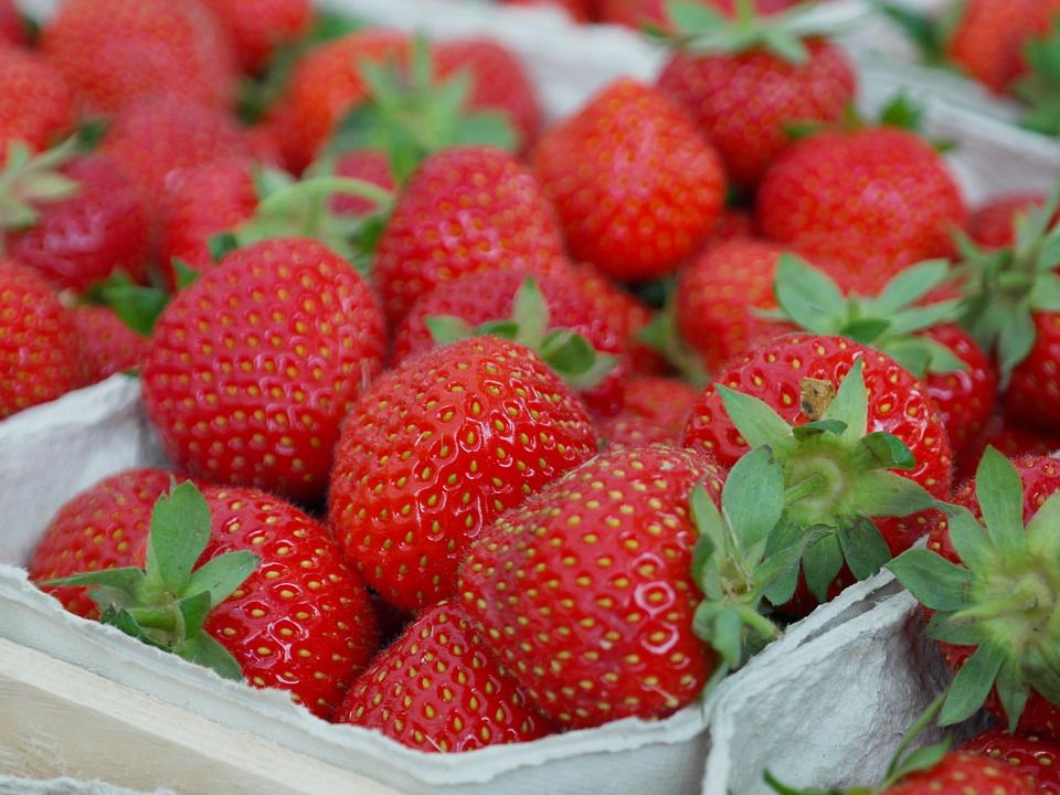 Клубничные червячки: почему они не проблема, а польза для вашего урожая