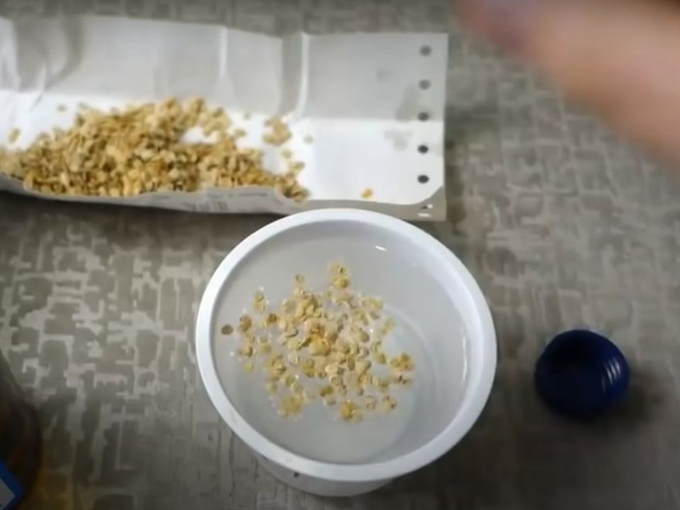 Натуральные средства для замачивания семян: секреты обильного урожая