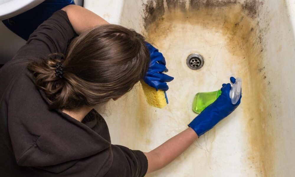 Как избавиться от черной плесени в ванной: проверенные средства для чистоты и уюта