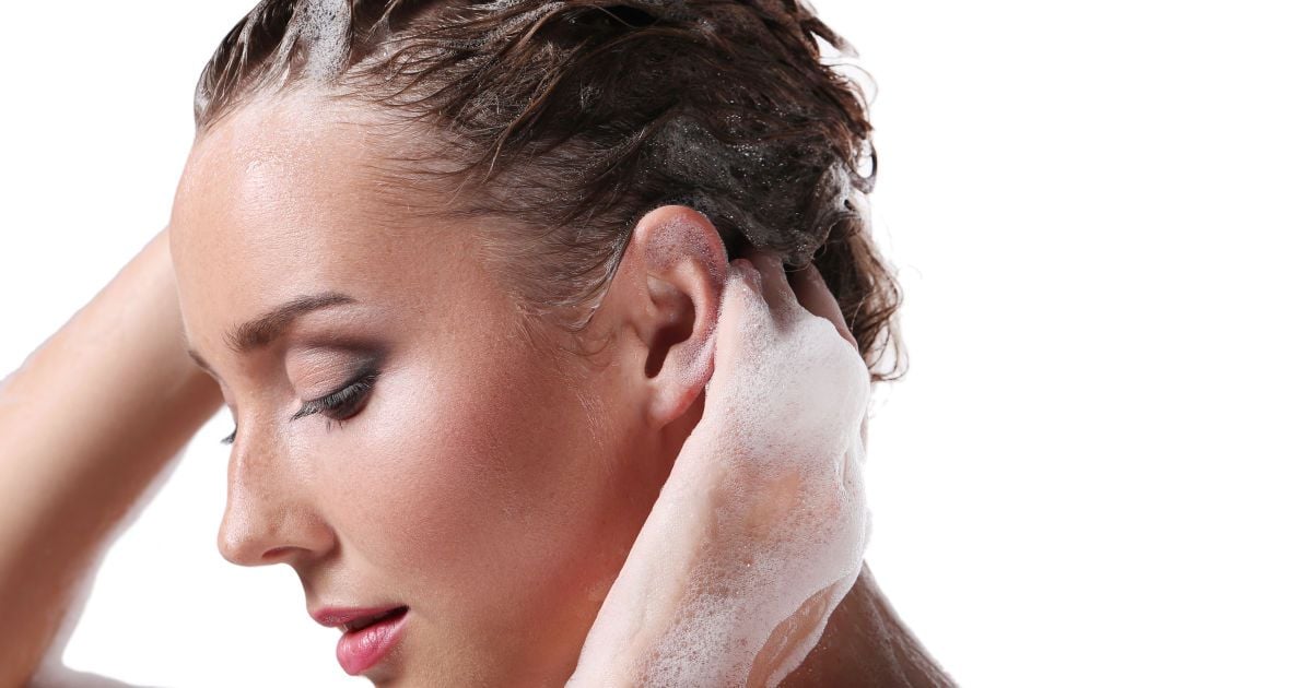 Когда мыть голову: утро или вечер – секреты ухода за волосами