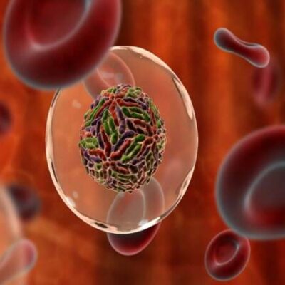 Гепатит С: группы риска и профилактика для женщин