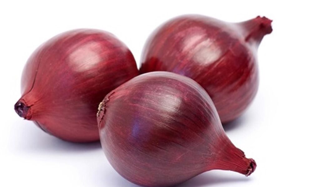 Выращиваем синий лук: секреты урожая для вашего огорода