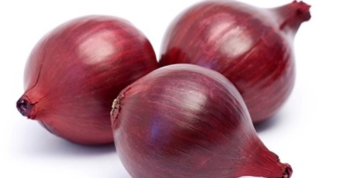 Выращиваем синий лук: секреты урожая для вашего огорода