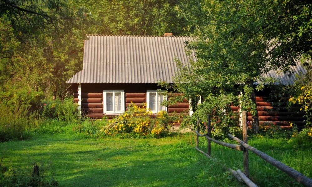 Неприхотливые плодовые деревья для дачи: урожай без лишних хлопот